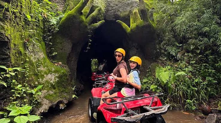 Bali ATV scenic view